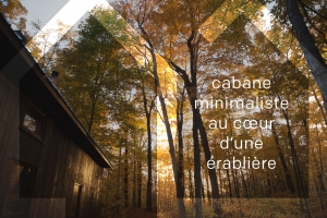 Larguer les Samares | Entête